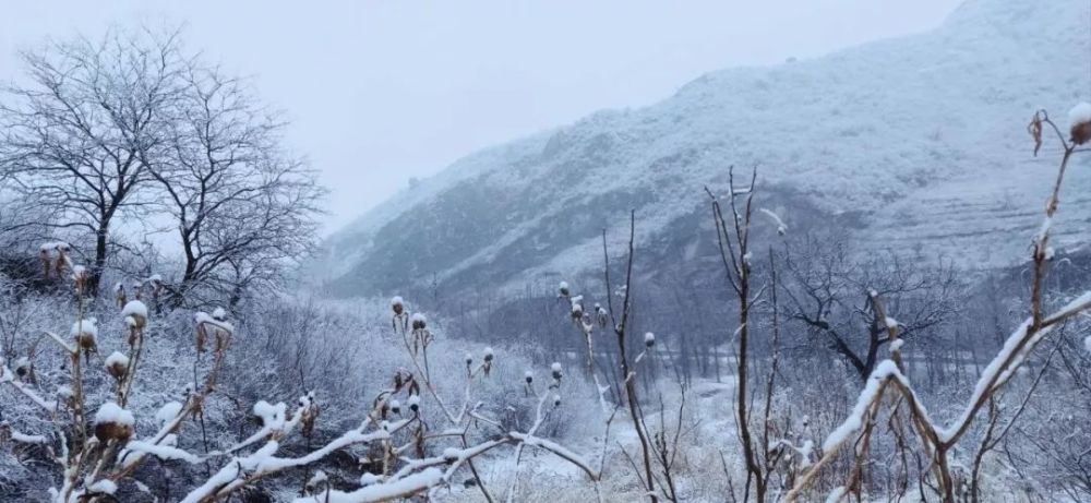 北京城区大部分出现降雨   门头沟山区还飘起了雪花   灵山,斋堂