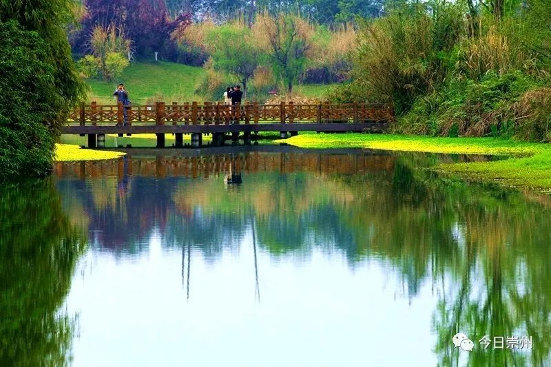 去崇州这座湿地公园,抓住春天的尾巴