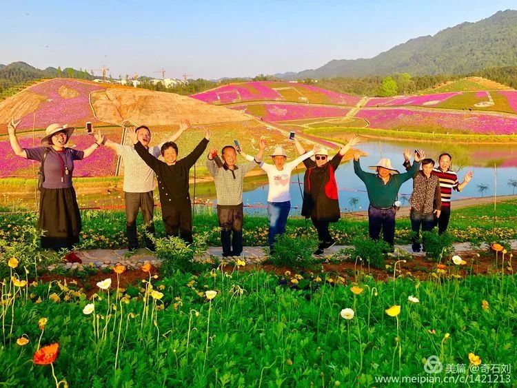 今年安化的杨林花海竟是这样的!太震撼!