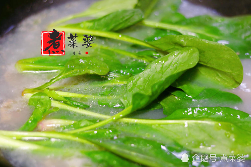 菜加斯斯人口_加斯普罗斯怪兽图片