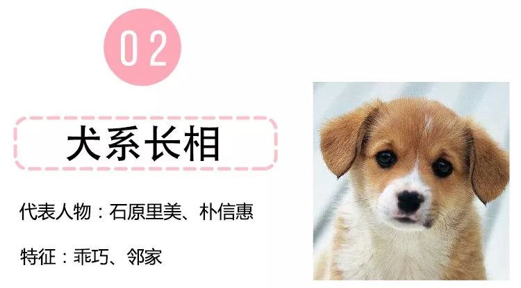 什么犬相成语_成语故事图片