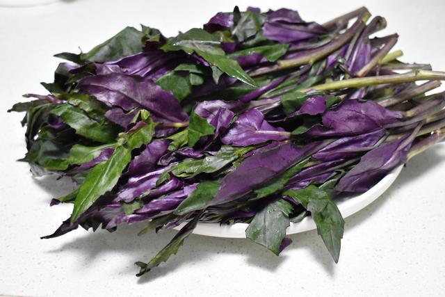 2紫背菜只留下叶子,把紫背菜清洗干净.