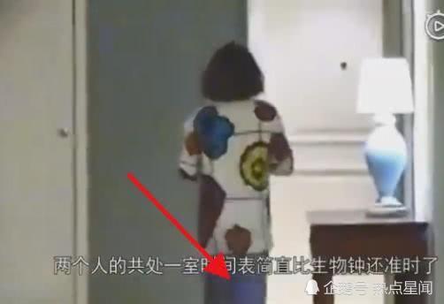 张丹峰夜会经纪人毕滢引热议,洪欣前夫莫少聪