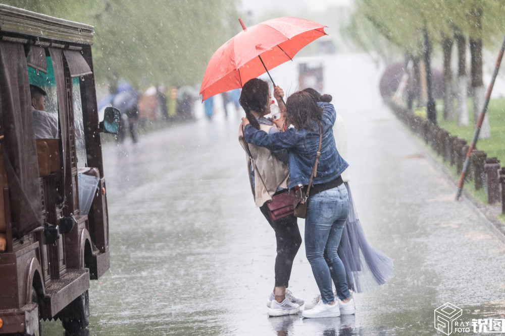 杭州突降暴雨,西湖边女游客抱成一团防淋湿,网友:画面