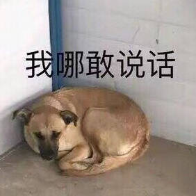 来小编这里存一波沙雕表情包,拥有它你就将会拥有无数沙雕网友,还怕没