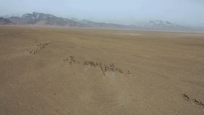 这个海拔4000多米的无人区,每一张图都是屏保!