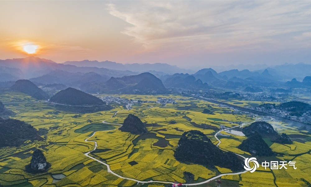 贵州六枝油菜花开满地金黄