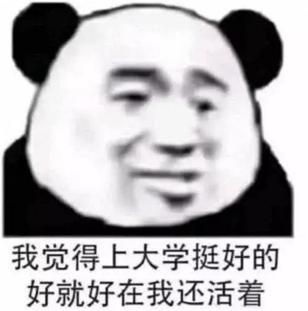 秀儿的专属表情包:上大学挺好的,好就好在我还活着