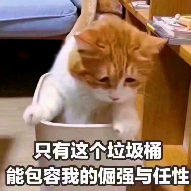 搞笑的表情包:虽然很闲,但是我也不聊天