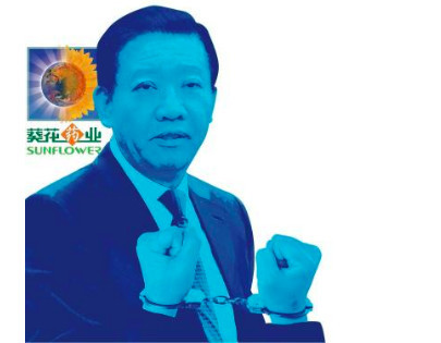 葵花的老总_青铜葵花手抄报