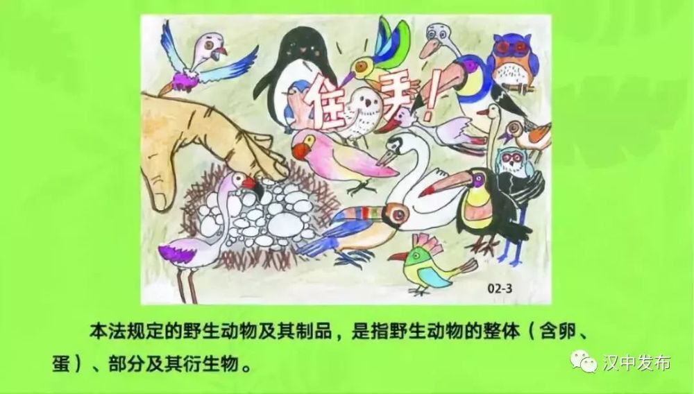 漫画解读《中华人民共和国野生动物保护法》(一)