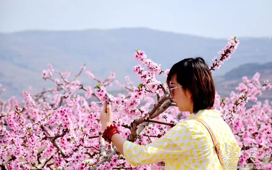 秦安婚纱摄影_秦安高铁站图片(2)