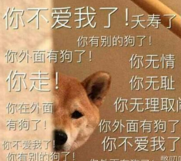 聊天·互怼·表情包:你外面有狗了!