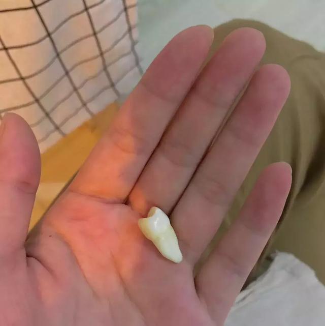 分手后，我和前任的感情更好了