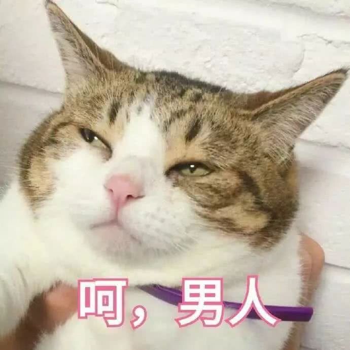 搞笑可爱的表情包,入坑前你说裙子不烧钱