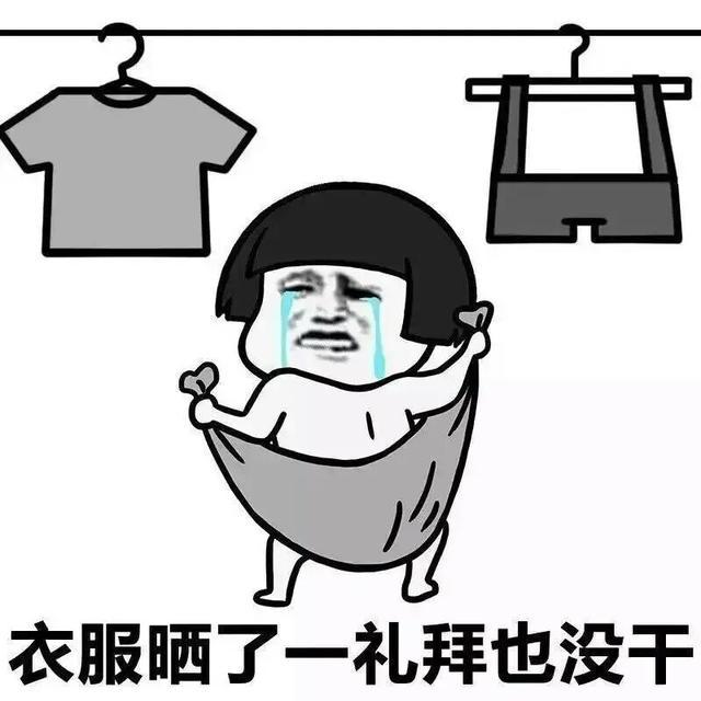 南方人才懂的痛表情包,有一种天气叫回南天!