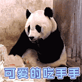 壁纸 大熊猫 动物 270_270 gif 动态图 动图
