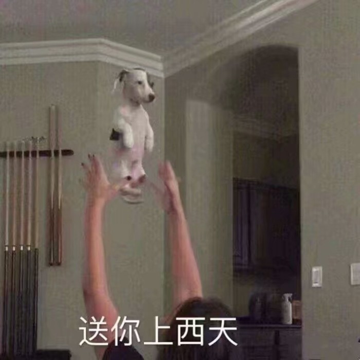 秀儿专用表情包:你哭着对我说,童话里都是骗人的,小姐