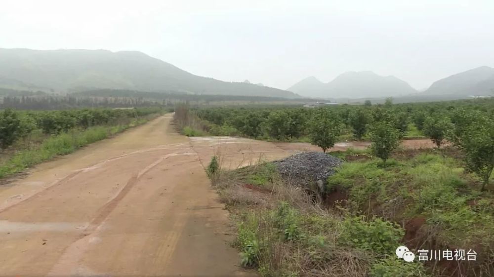 富川福利人口_富川福利红岩孔德忠(3)