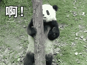 "叉腰"熊猫好傲娇:老子是国宝,请你注意一下你说话的态度!