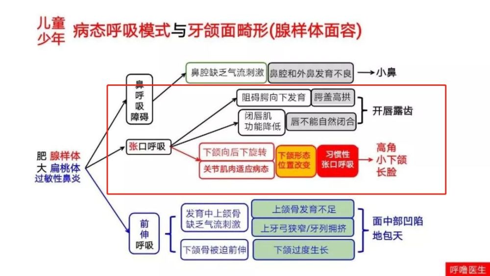 是什么人口_常住人口登记卡是什么