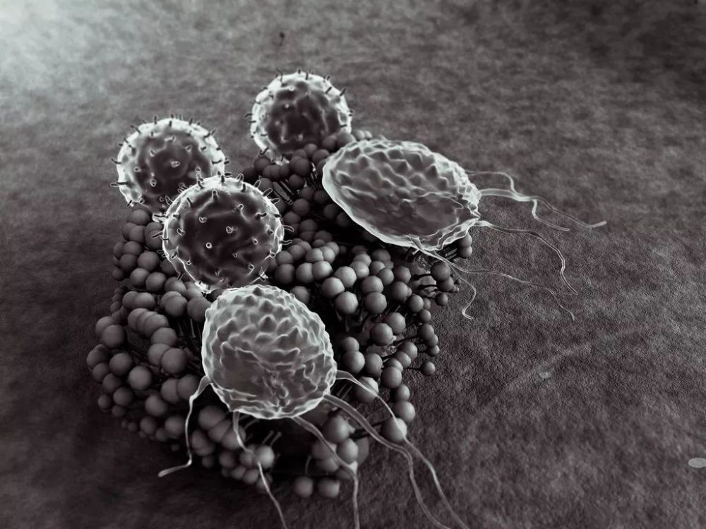 超级真菌在美多地爆发,召唤超级抗生素?