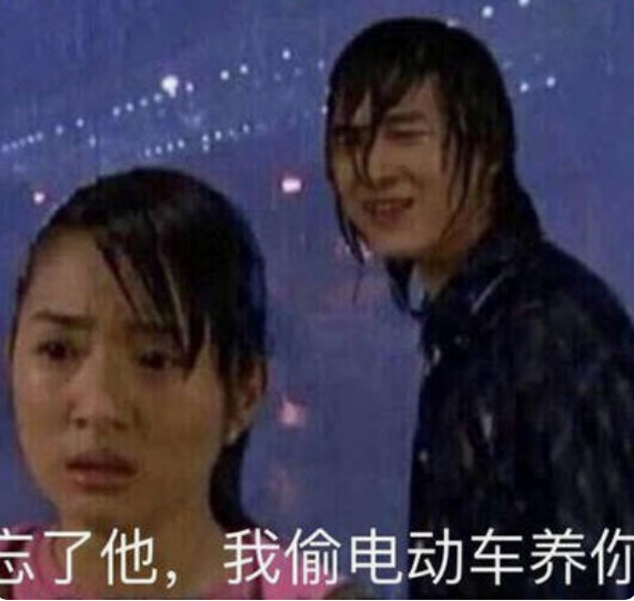 忘了他,我偷电动车养你啊
