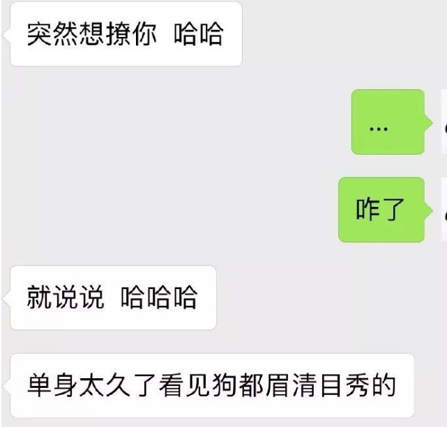 "钢铁直男"是怎么撩妹的?看到聊天记录后,小编:快给秀儿赐座