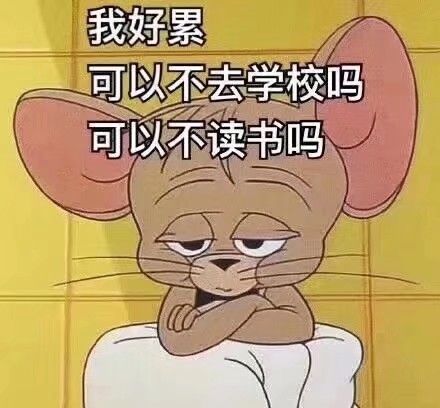 搞笑可爱的表情包,猫和老鼠系列,我可以不去学校吗