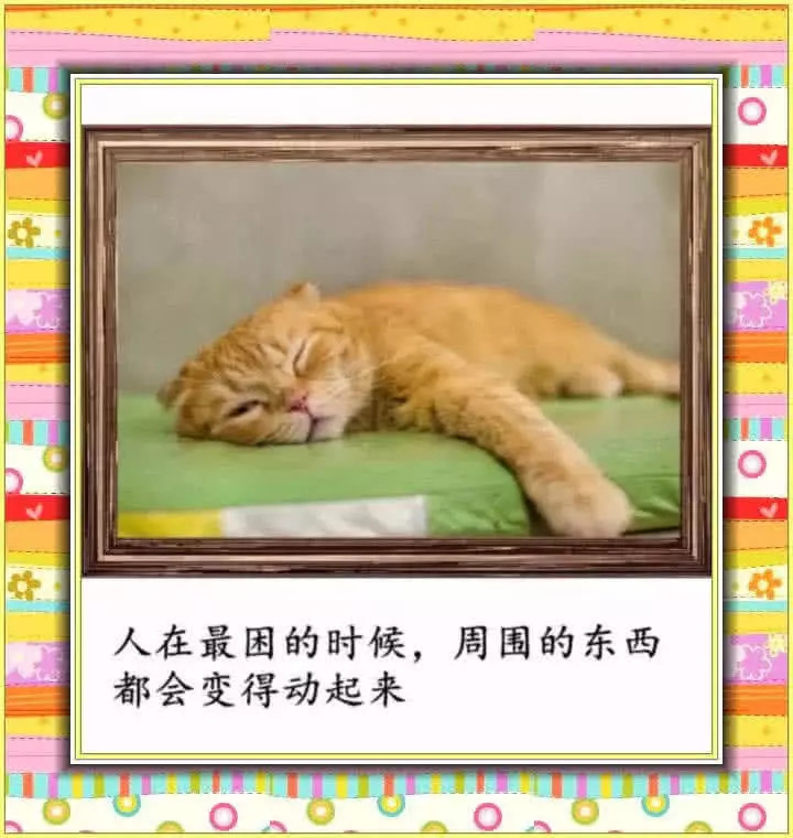 要跳动十万次,十指交叉可以测情商和智商