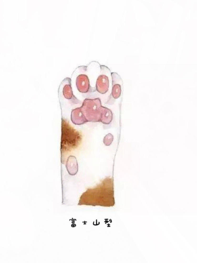 作为铲屎官连这件事都不知道 难怪你家猫咪不理你 看点快报