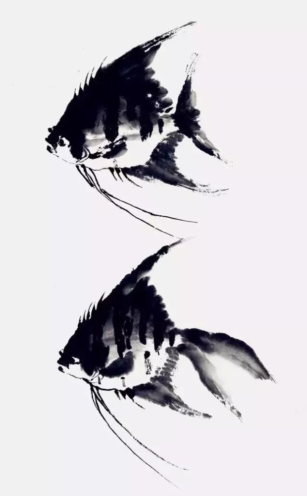 写意国画动物:热带鱼画法步骤