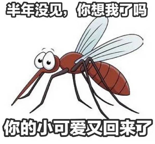 gif,搞笑,趣图