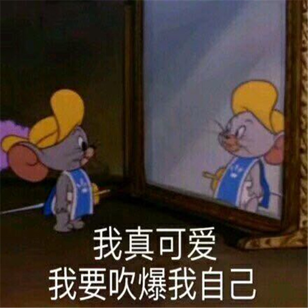 表情包:爱情理论能考满分,实践只能零分