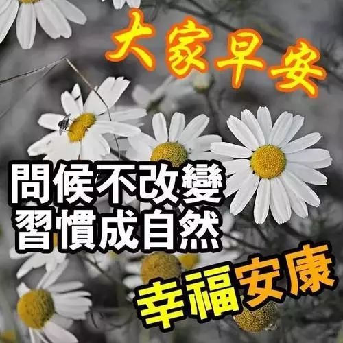 周六朋友圈最温馨的早安祝福动态图片,早上好问候语动态表情图片