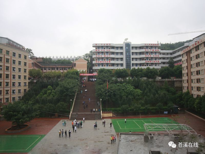 苍溪或将新建一所小学?快看看在不在你家附近