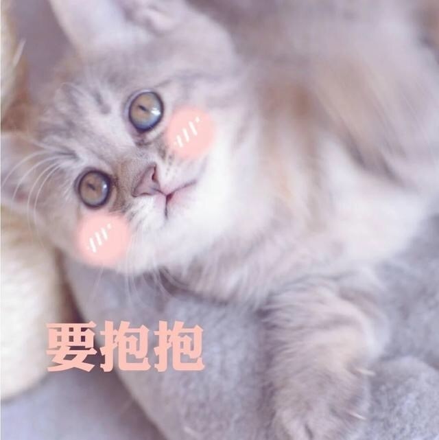 别说抱不动