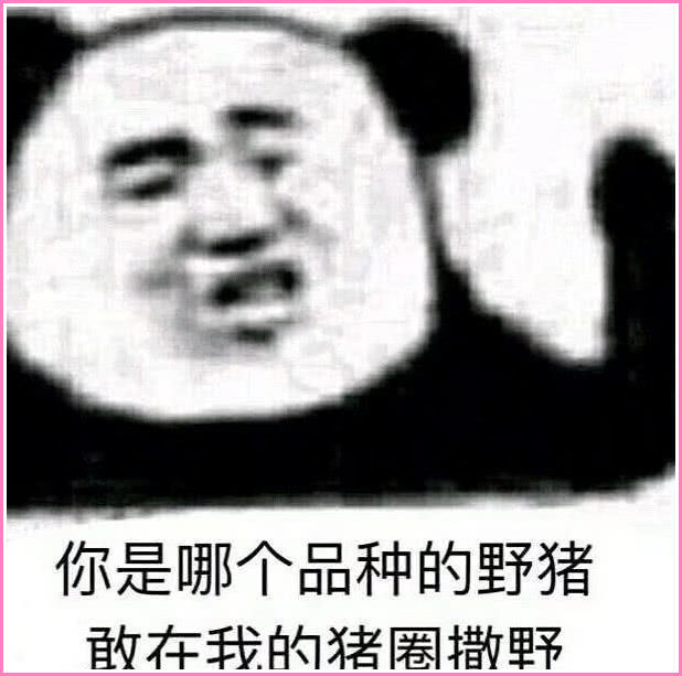 斗图表情包:你是哪个品种的野猪,敢在我的猪圈撒野?