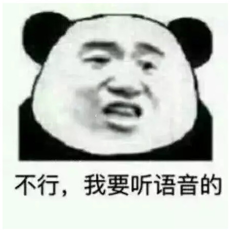 不行,我要听语音的!