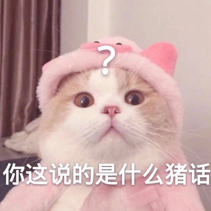 超奈斯歪头杀·小奶猫小奶狗表情包:快乐是它们的,我什么都没有