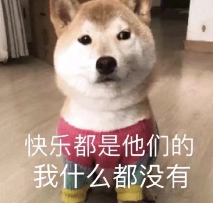 超奈斯歪头杀·小奶猫小奶狗表情包:快乐是它们的,我什么都没有