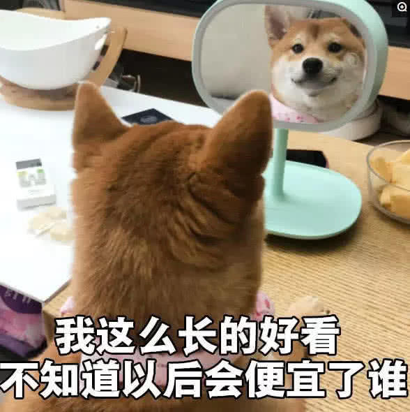 含蓄的怼人表情包:我要把你摁在墙脚踹,听见没?摁在墙