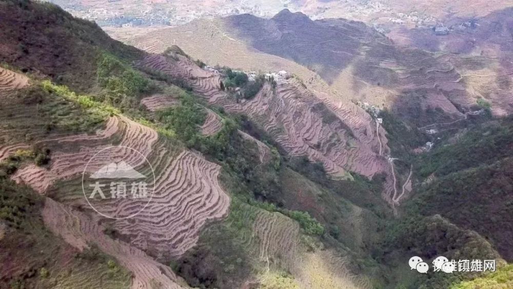专题!走遍镇雄—走进中屯龙头山!