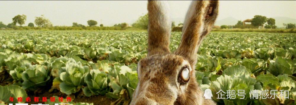 原版《调音师》:有个小孩喜欢装神弄鬼,却不努