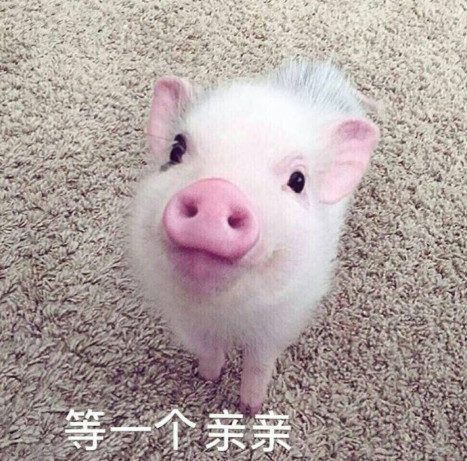 我在这里等你的一个亲亲!