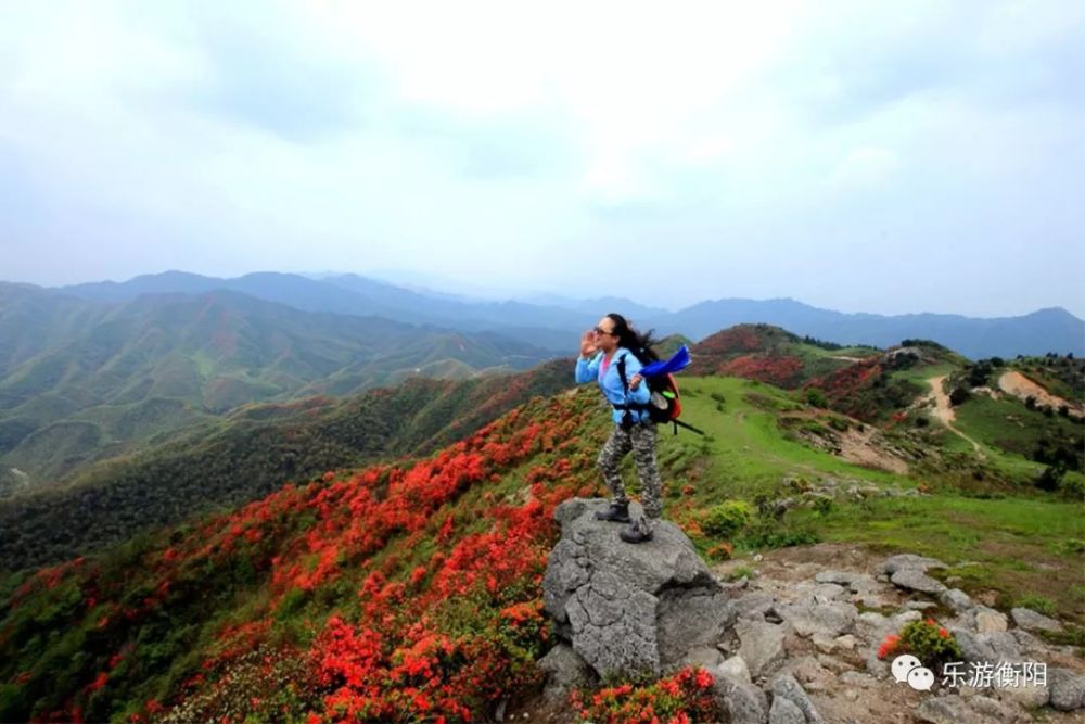 赴天堂山赏杜鹃花最全旅游指南,带你邂逅塔山瑶族乡的