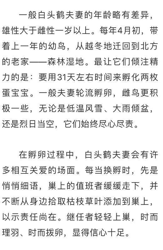 灭亡简谱