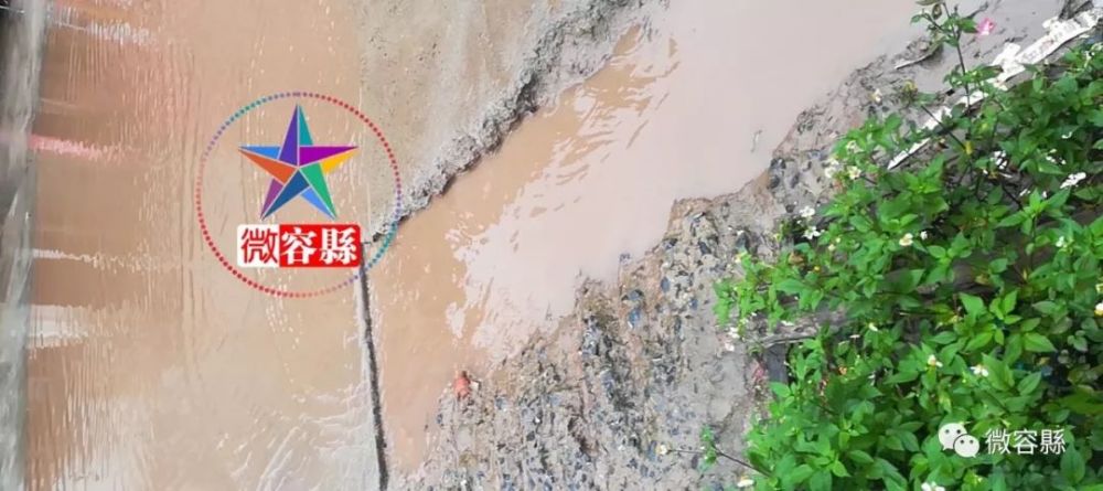 自良镇人口_容县自良镇龙镇村建设广西首个村级湿地公园