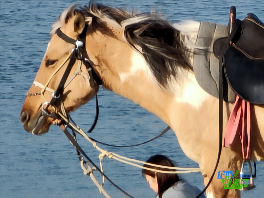 OPPO Reno十倍变焦版评测:常规旗舰中的有力