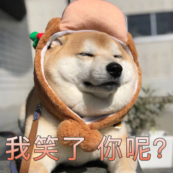 小岳岳,开心,表情包,原版人物,表情